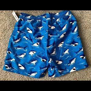 Brand New Spotted zebra boys size 10 swim trunks